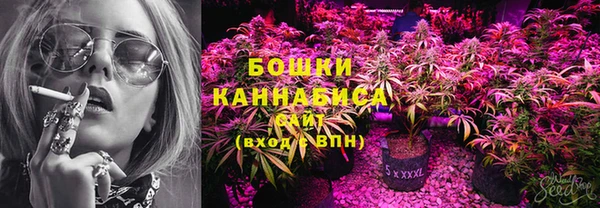 шишки Пролетарск