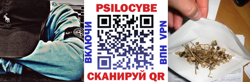 omg ТОР  Знаменск  Галлюциногенные грибы Psilocybine cubensis 