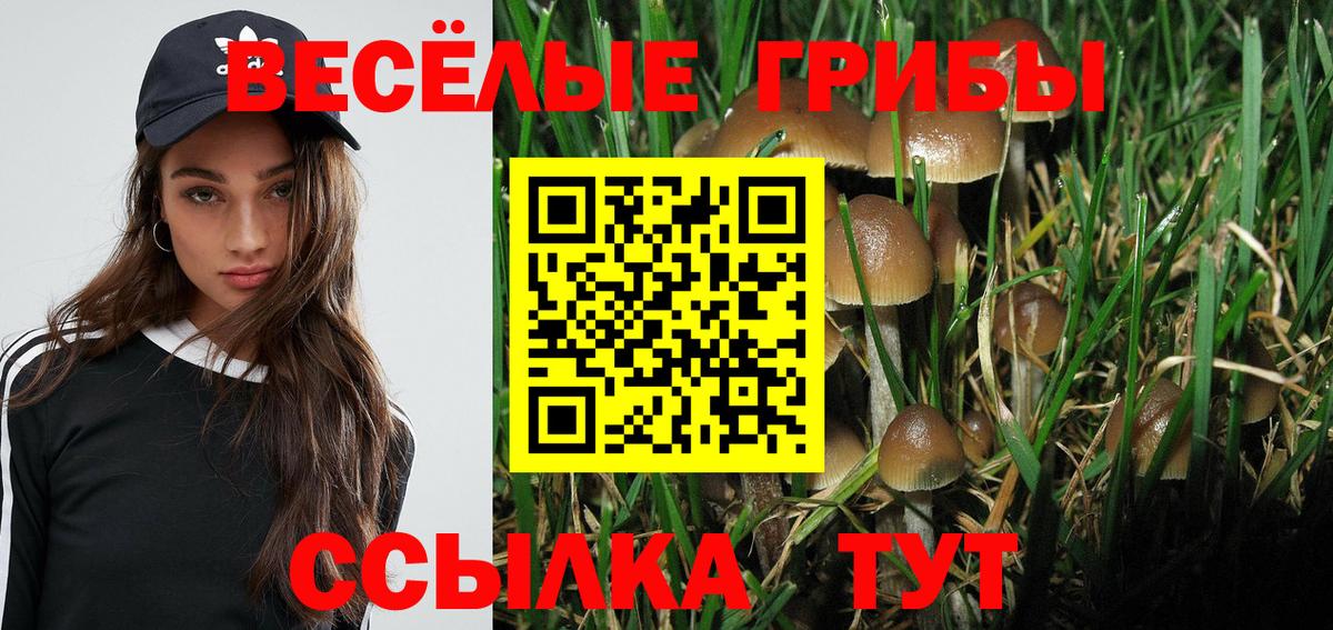 Галлюциногенные грибы GOLDEN TEACHER Знаменск