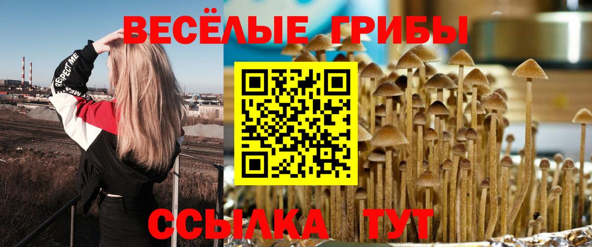 Псилоцибиновые грибы Magic Shrooms  Галлюциногенные грибы Cubensis  Вход с VPN  Знаменск 